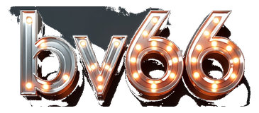 bv66 logo
